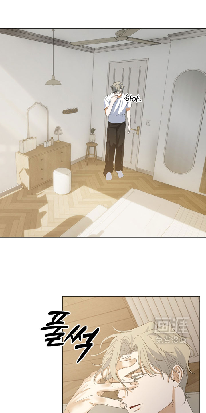 纯血人类与家养兔第17话图