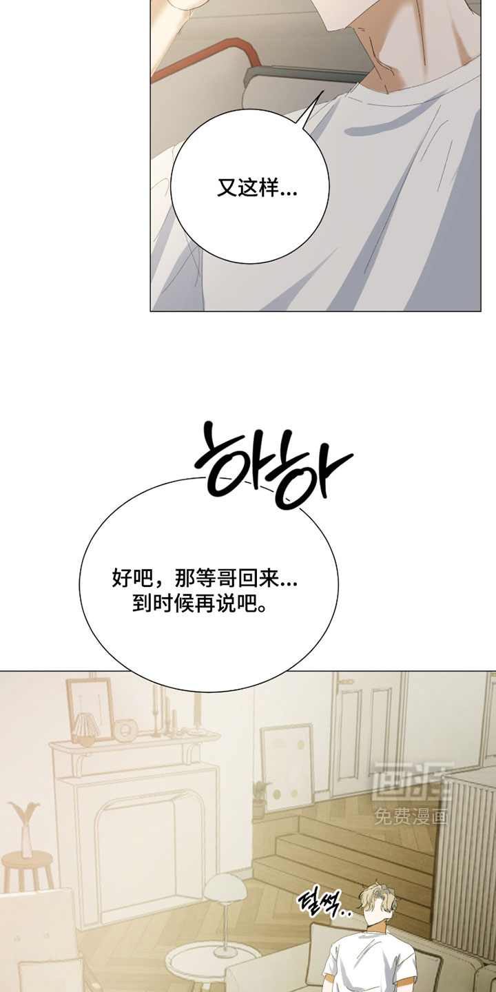 纯血人类与家养兔第17话图