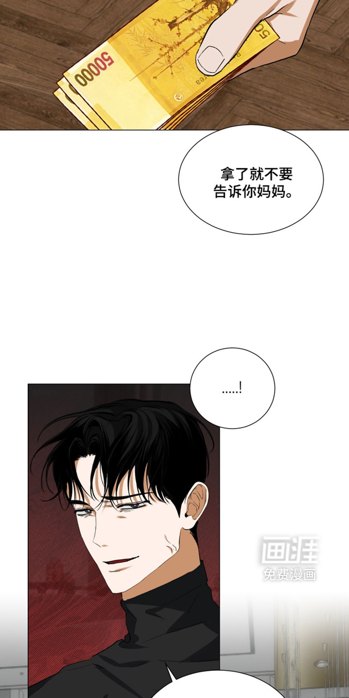 纯血人类与家养兔第19话图