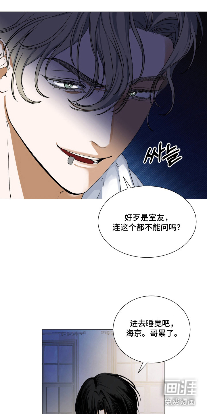 纯血人类与家养兔第3话图