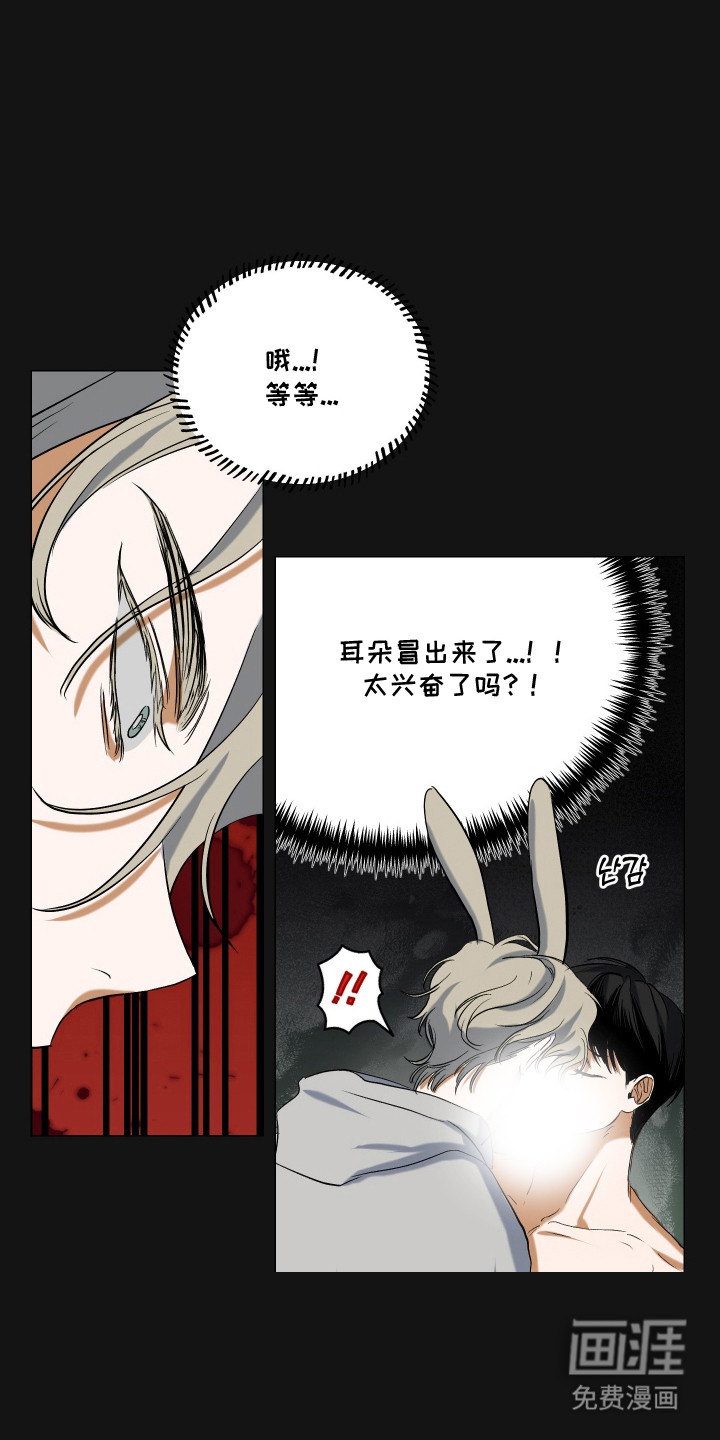 纯血人类与家养兔第6话图