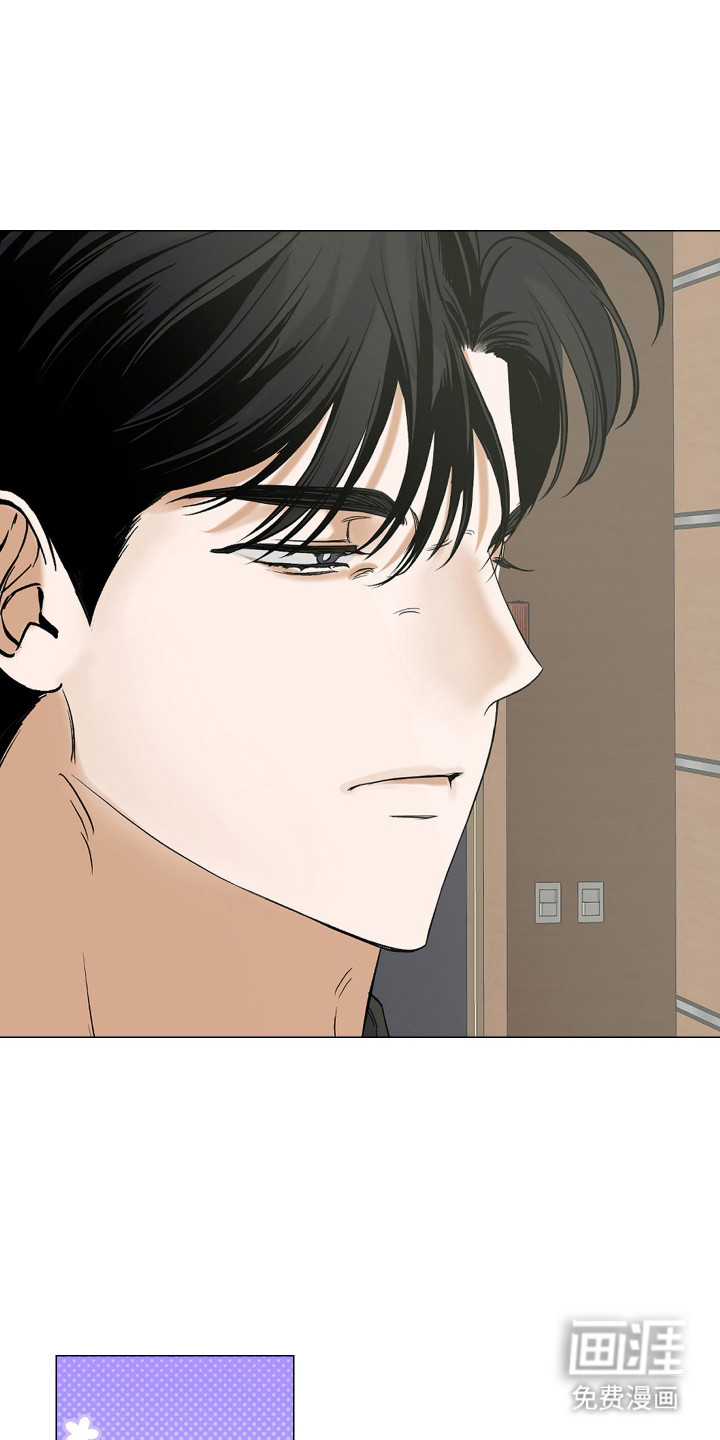 纯血人类与家养兔第7话图