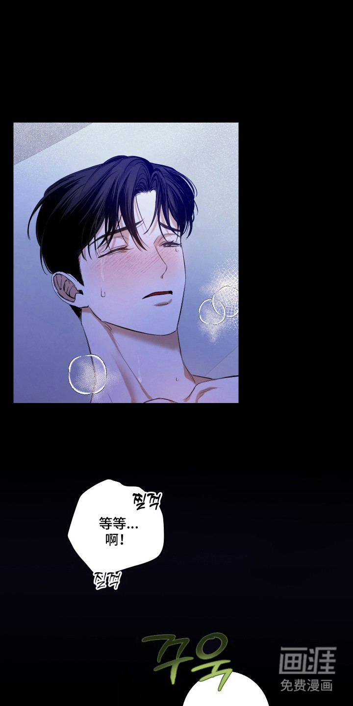 纯血人类与家养兔第8话图