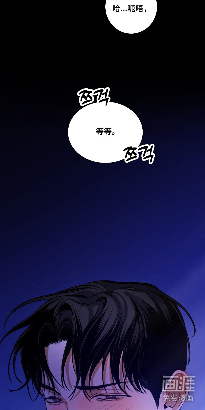 纯血人类与家养兔第8话图