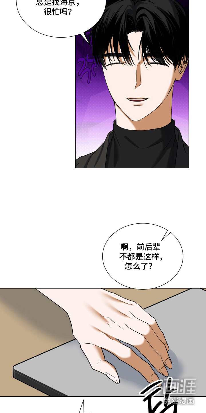 纯血人类与家养兔第9话图