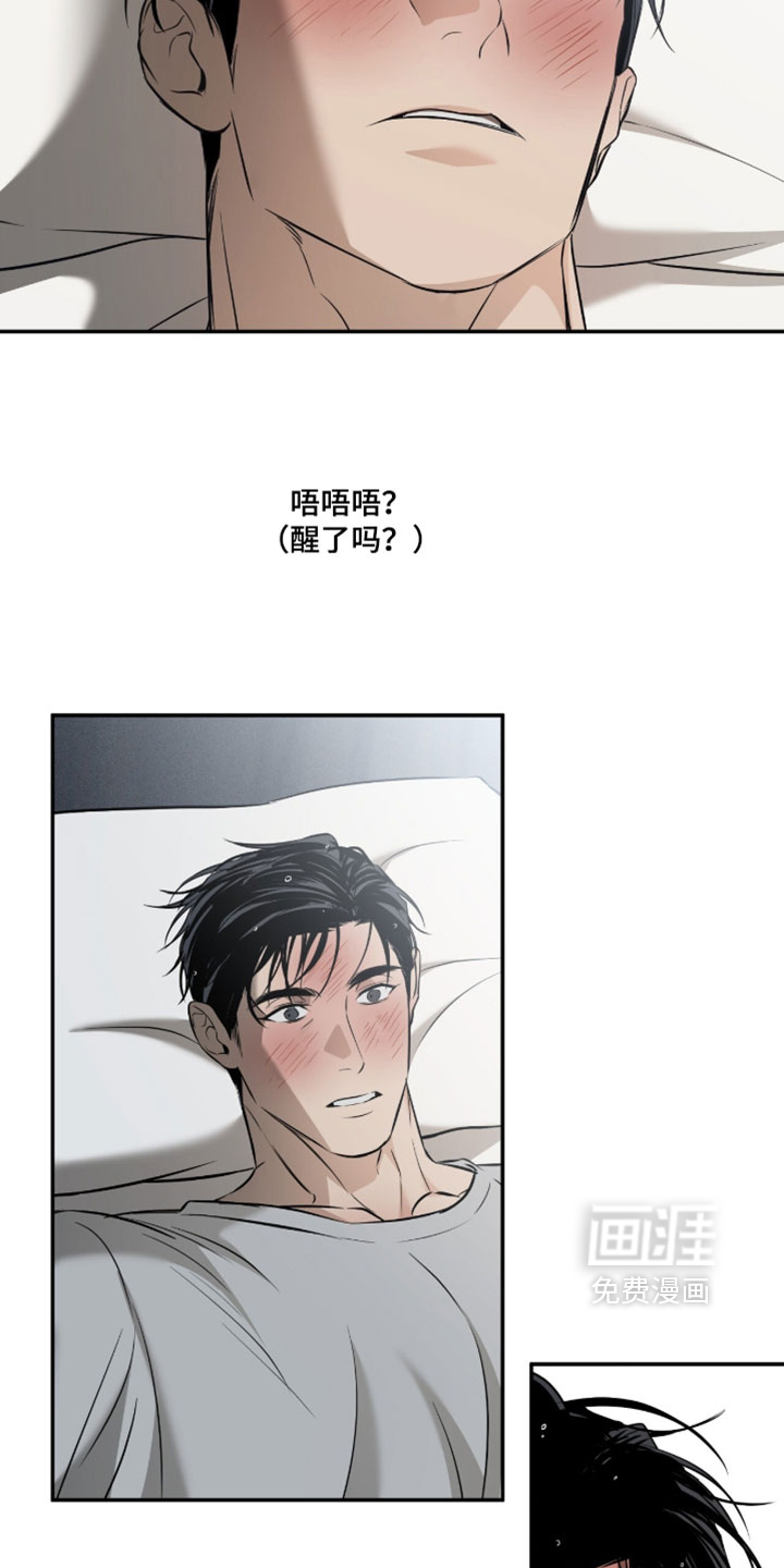 错误门牌号漫画-图26