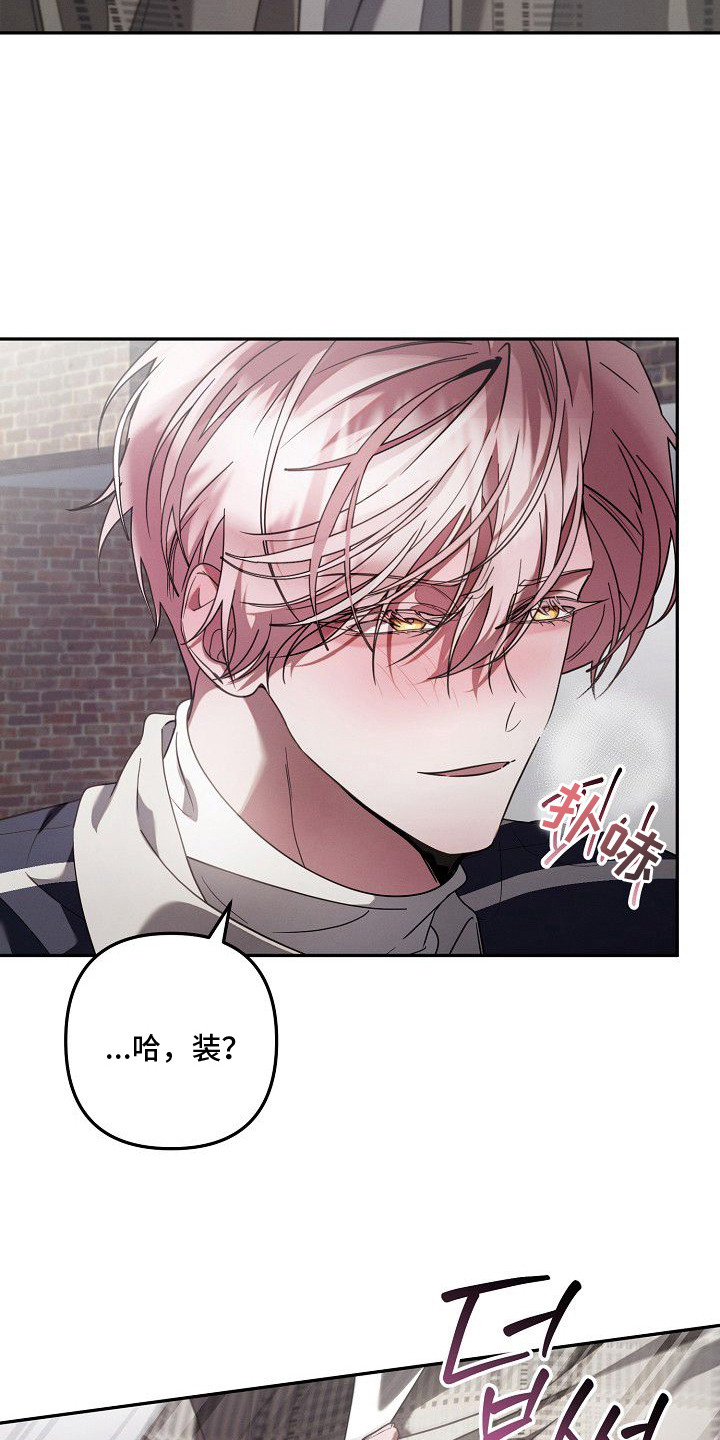 雏儿陷阱漫画-图16