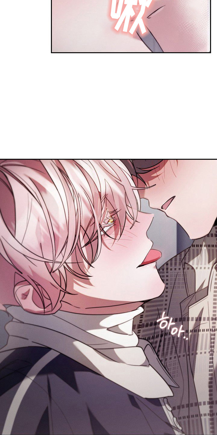 雏儿陷阱漫画-图19