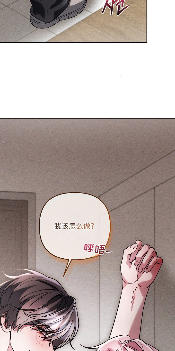 雏儿陷阱漫画-图9