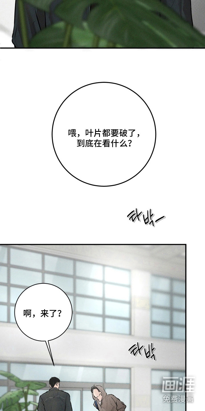 窗间妄想漫画-图10
