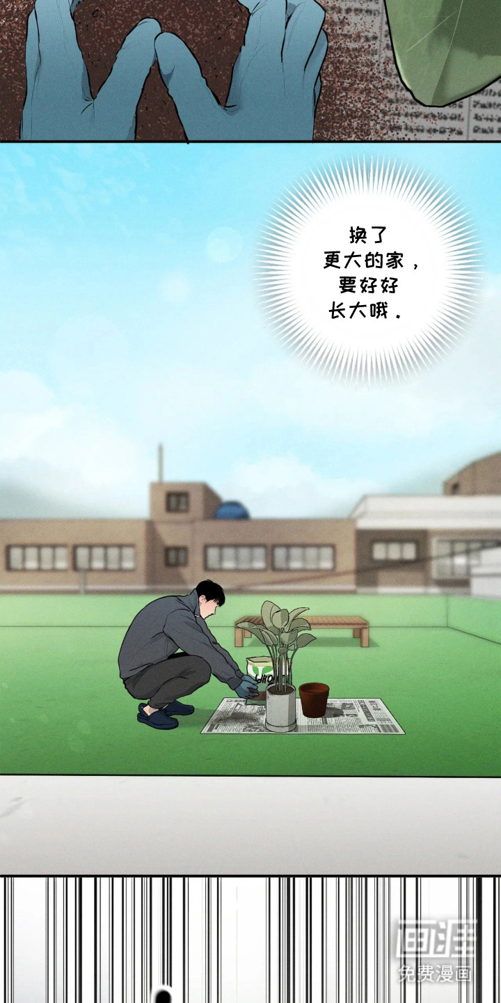 窗间妄想漫画-图5