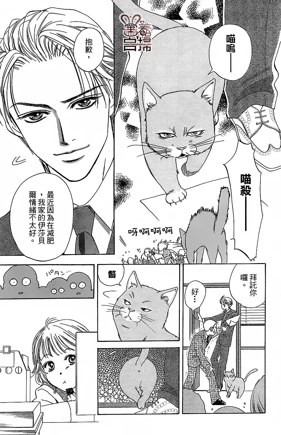 CAT CATCH 全1话 第4页