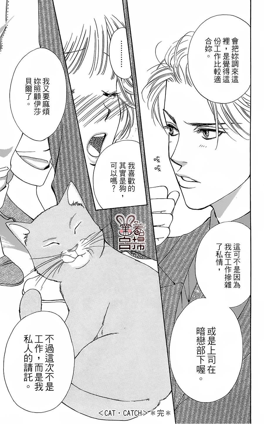 CAT CATCH 全1话 第40页