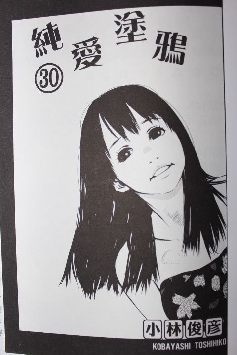 纯爱涂鸦第30卷图
