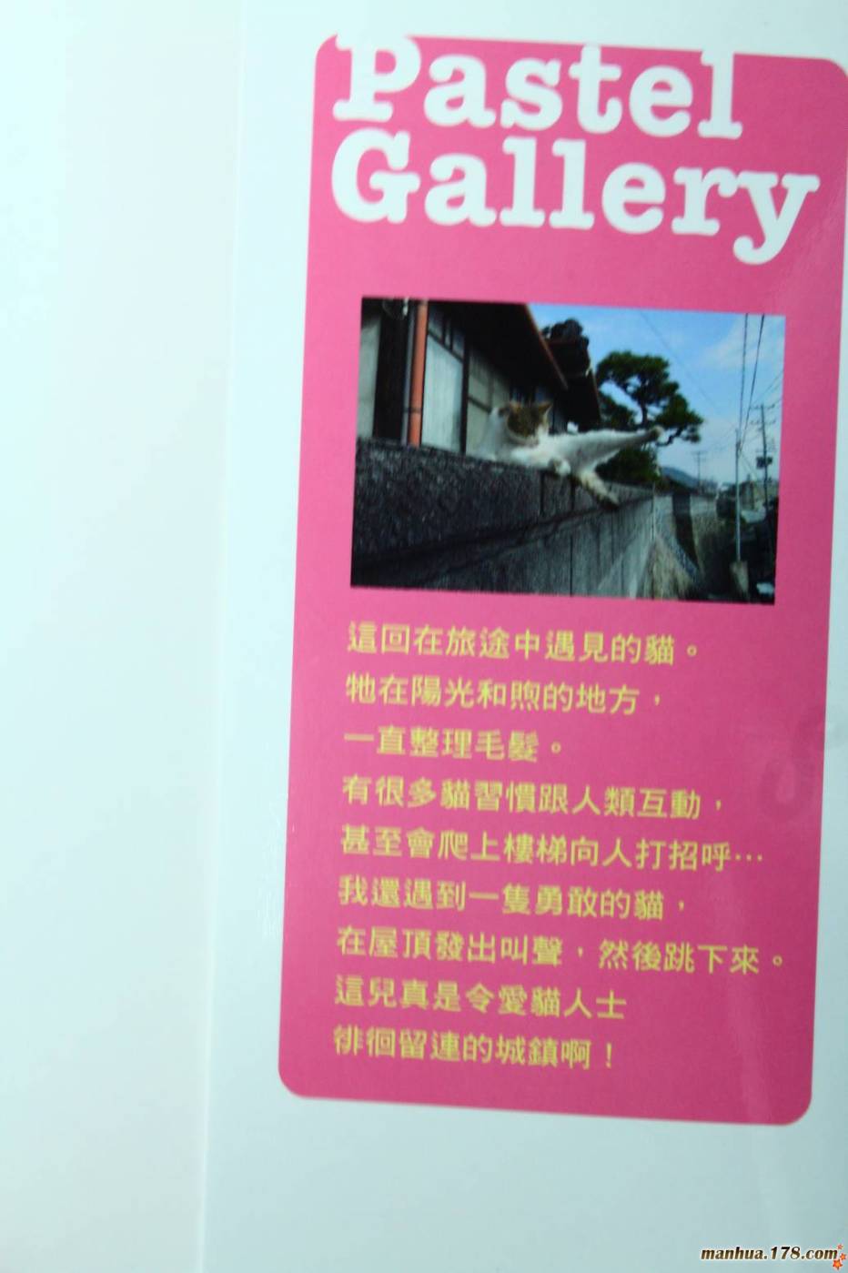 纯爱涂鸦第31卷图