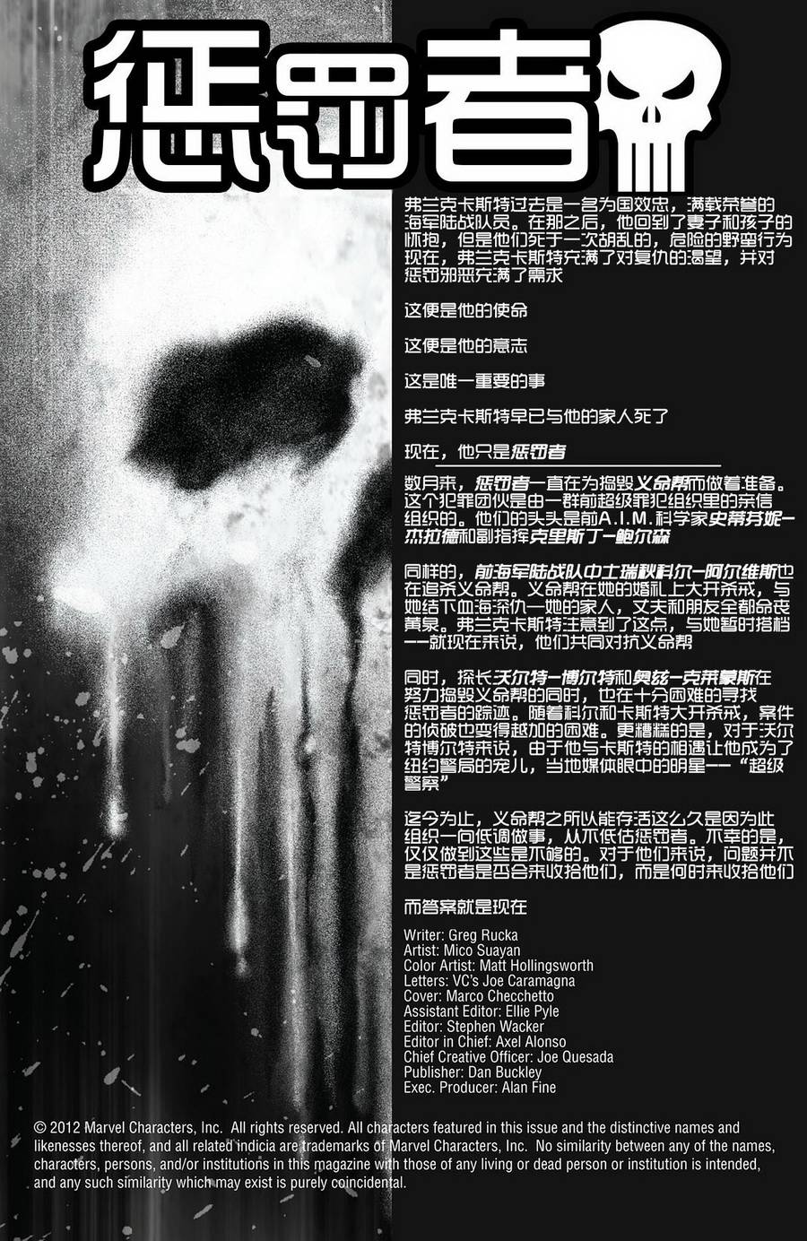 惩罚者2012第13卷图