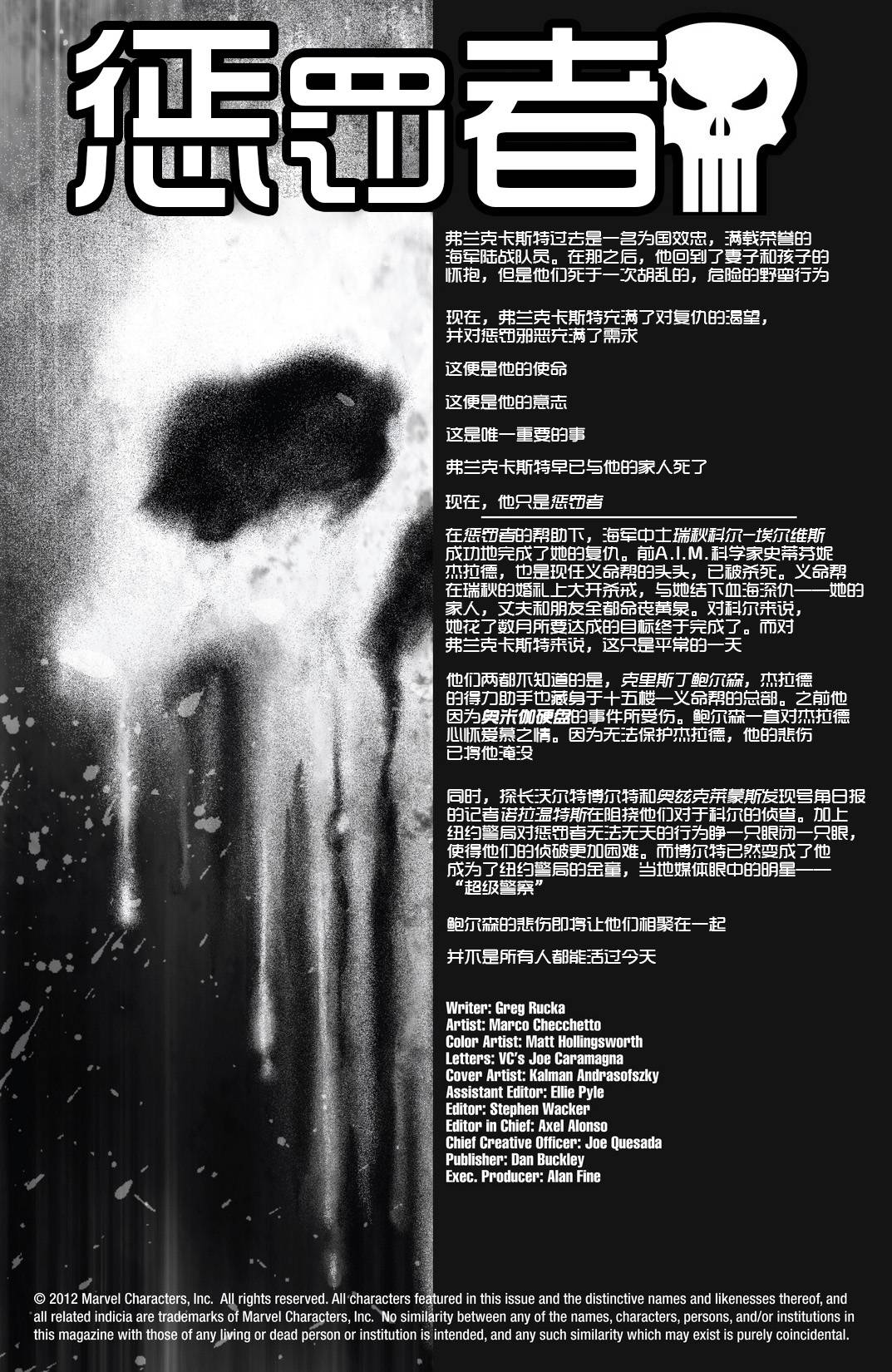 惩罚者2012第15卷图