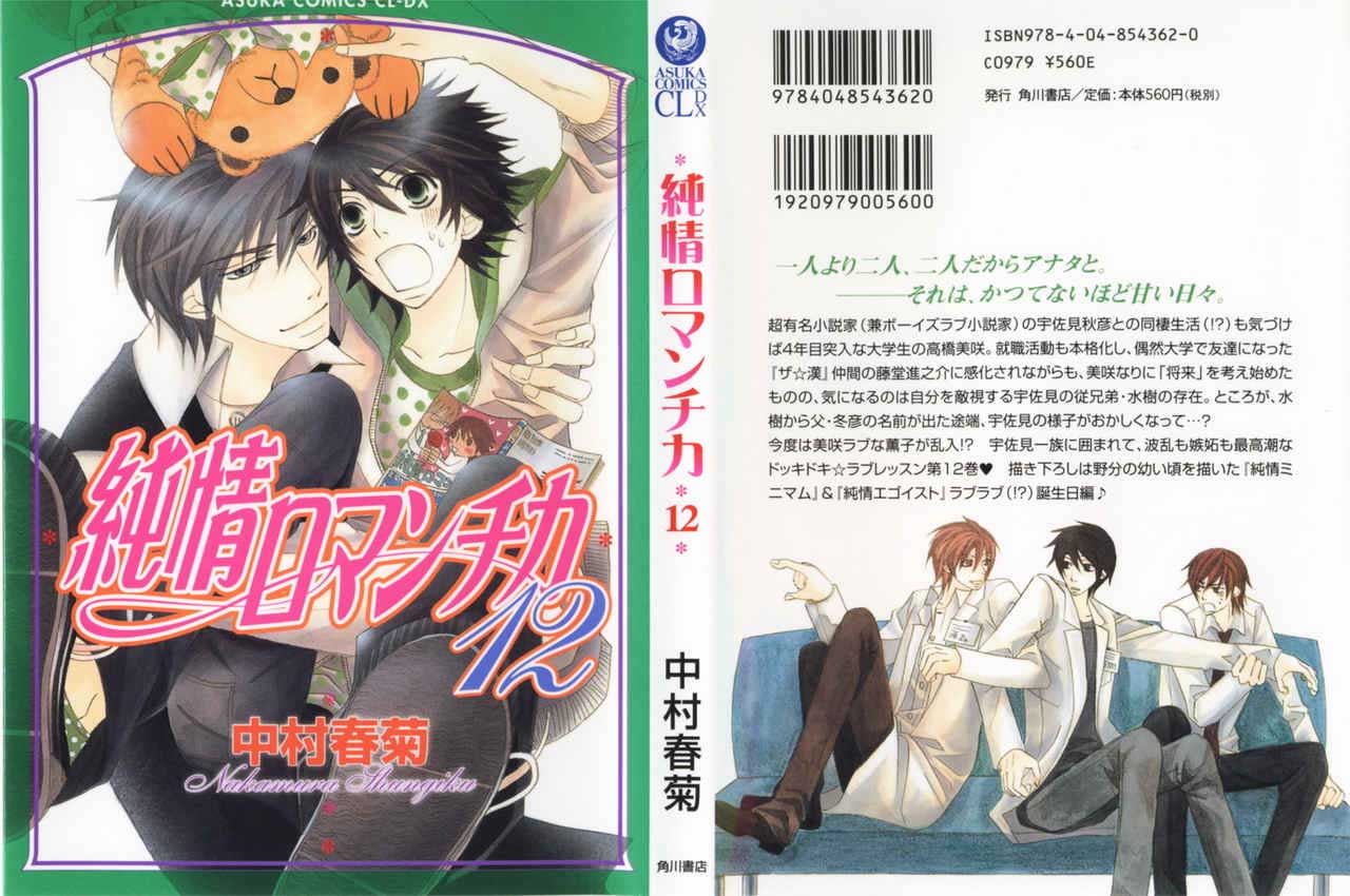 纯情罗曼史第12卷图