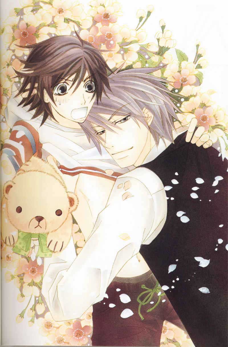 纯情罗曼史第12卷图