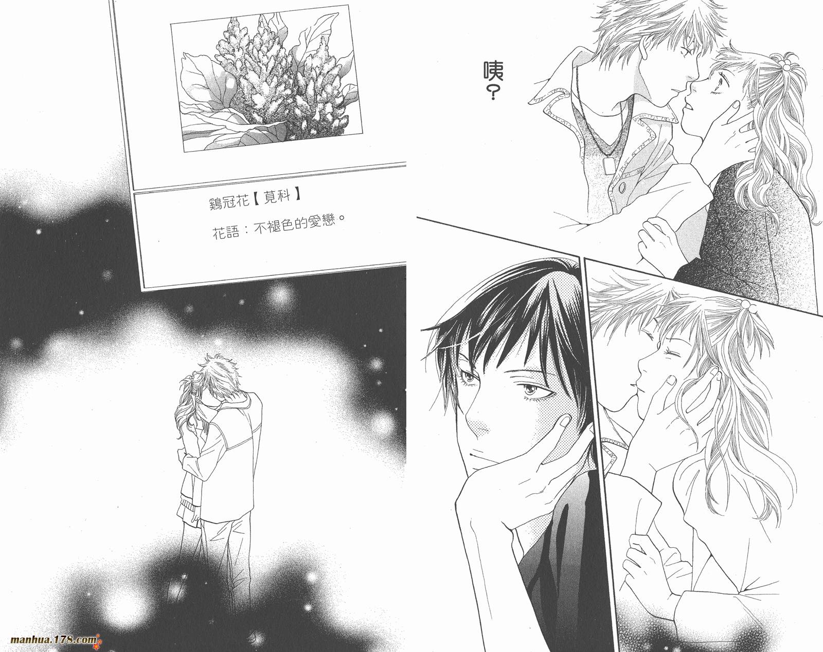 Cat Street 猫街第5卷图