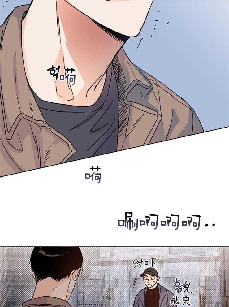 大佬穿成炮灰小明星后 第13话 第9页