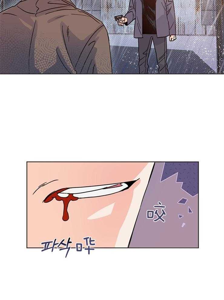 大佬穿成炮灰小明星后 第13话 第10页