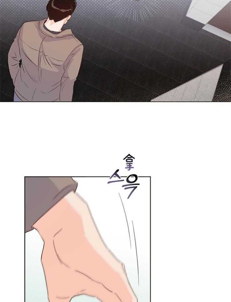 大佬穿成炮灰小明星后第16话图