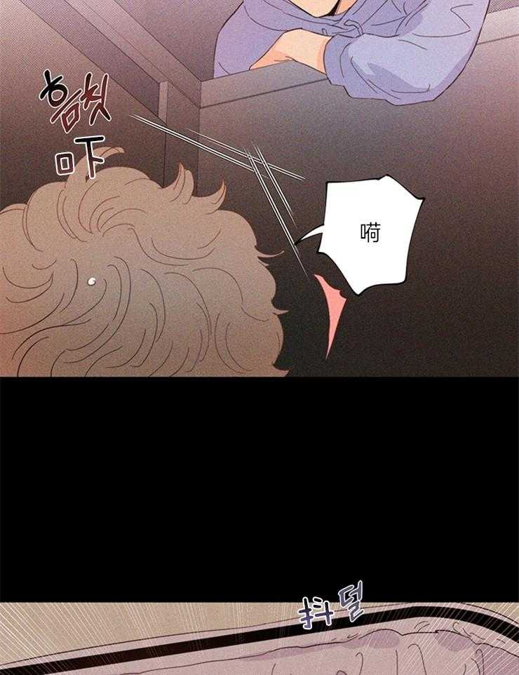 大佬穿成炮灰小明星后 第21话 第14页