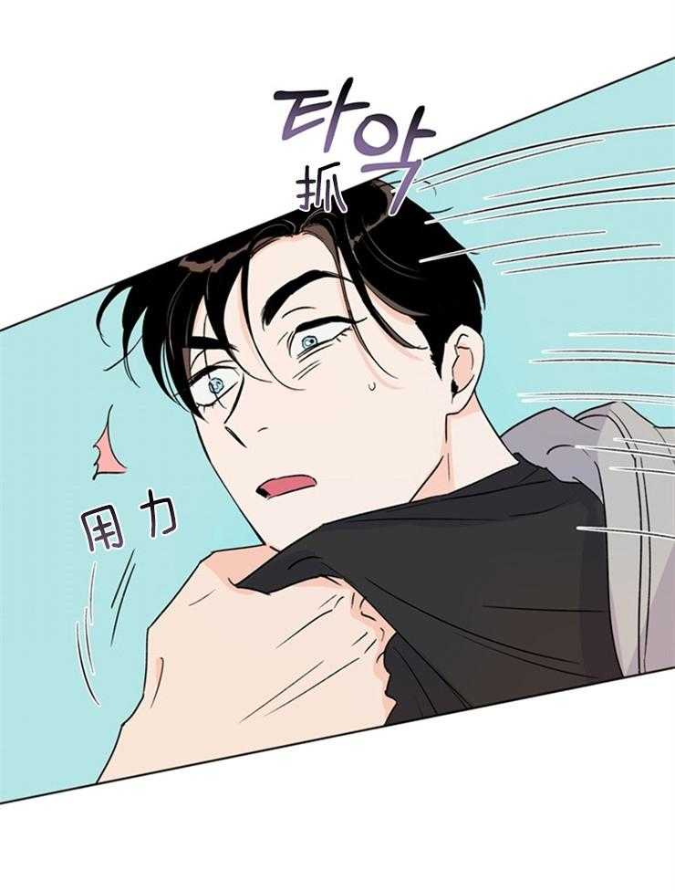 大佬穿成炮灰小明星后 第23话 第17页