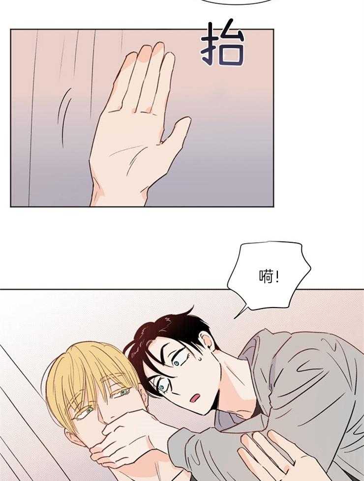 大佬穿成炮灰小明星后第24话图