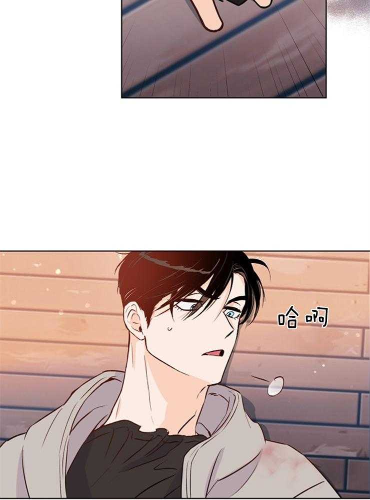 大佬穿成炮灰小明星后第27话图