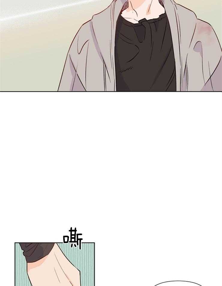 大佬穿成炮灰小明星后第28话图