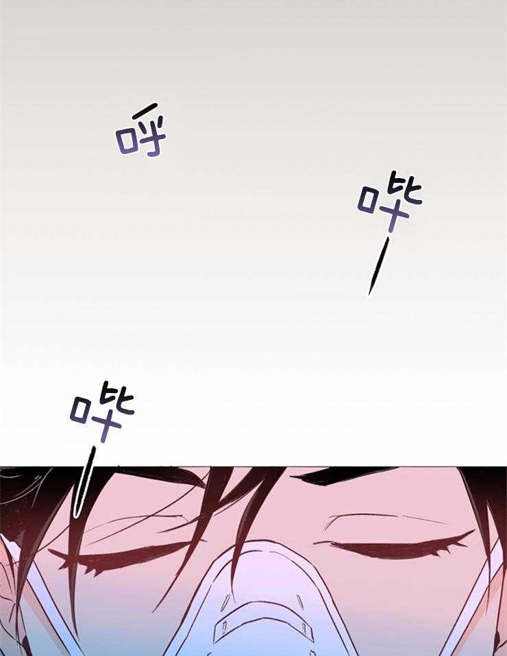 大佬穿成炮灰小明星后 第3话 第25页