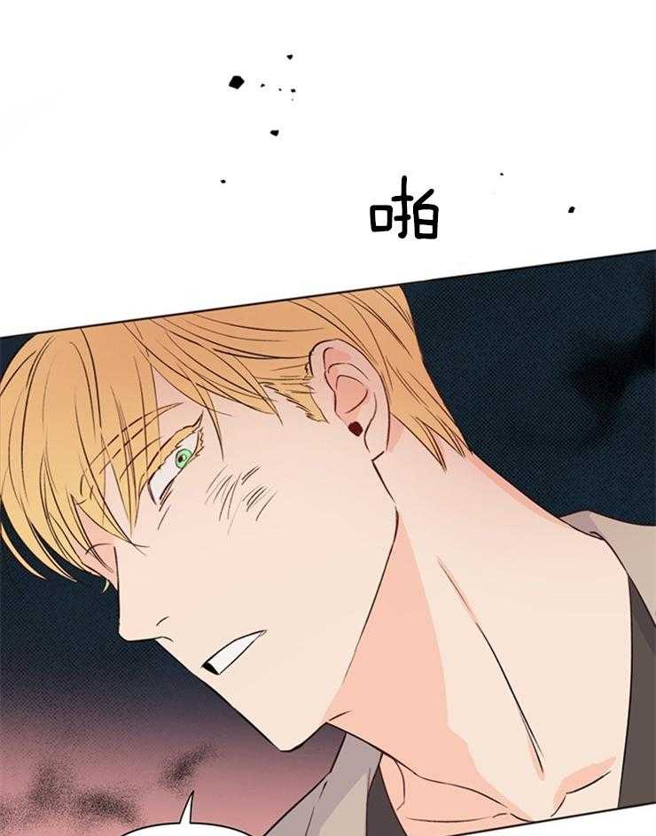 大佬穿成炮灰小明星后第30话图