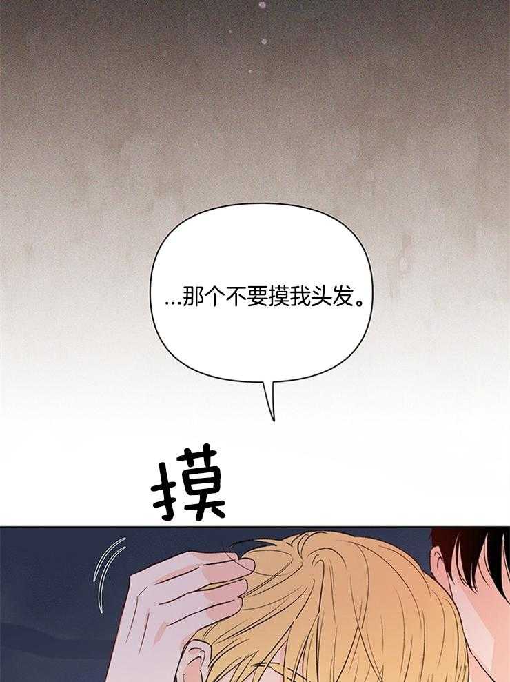 大佬穿成炮灰小明星后第31话图