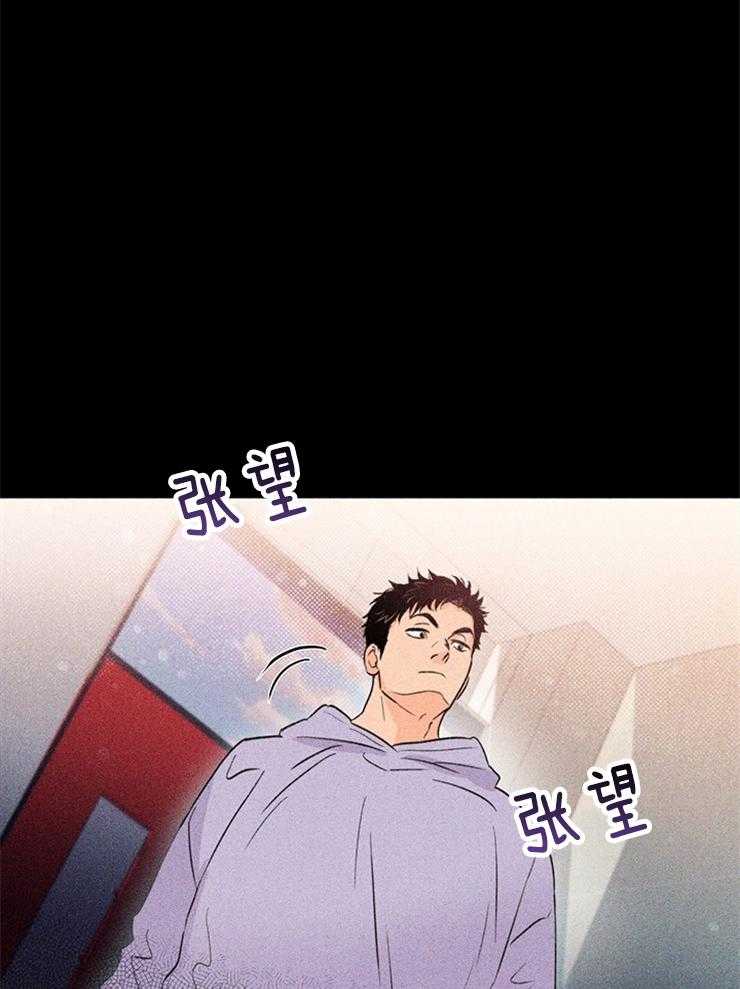 大佬穿成炮灰小明星后第31话图