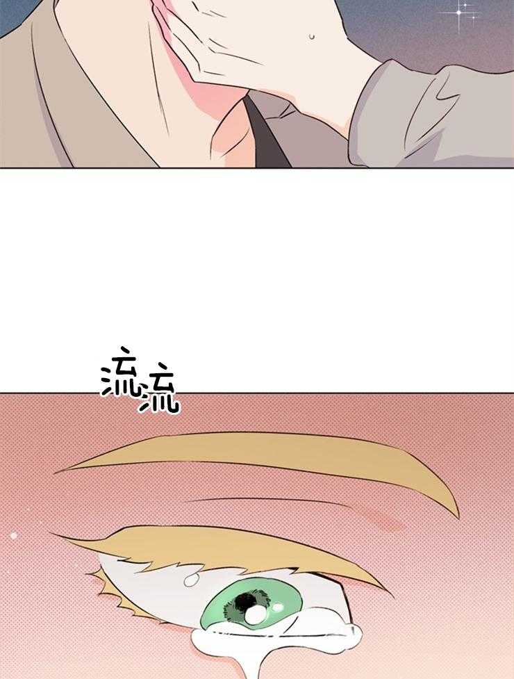 大佬穿成炮灰小明星后第33话图