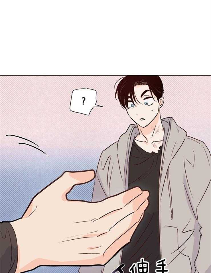 大佬穿成炮灰小明星后 第34话 第28页