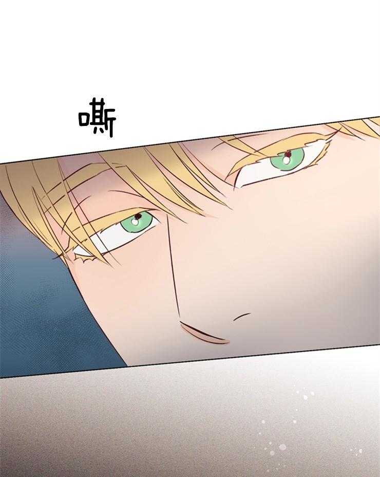 大佬穿成炮灰小明星后 第35话 第13页