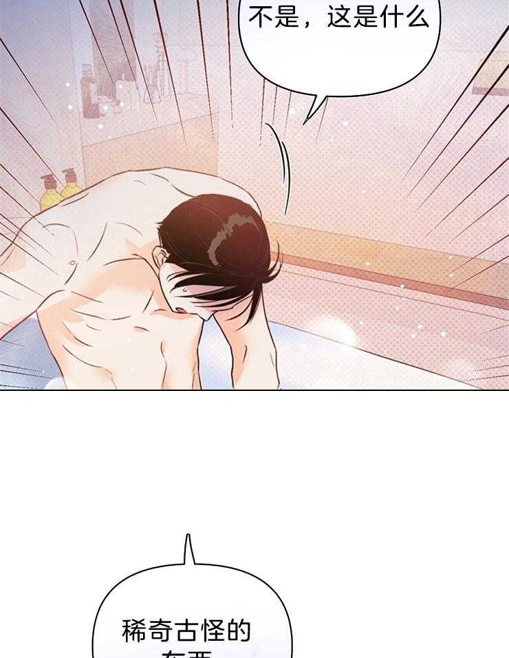 大佬穿成炮灰小明星后第37话图