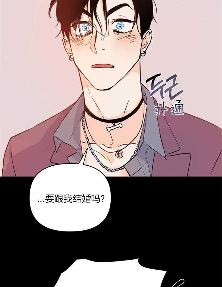 大佬穿成炮灰小明星后第4话图