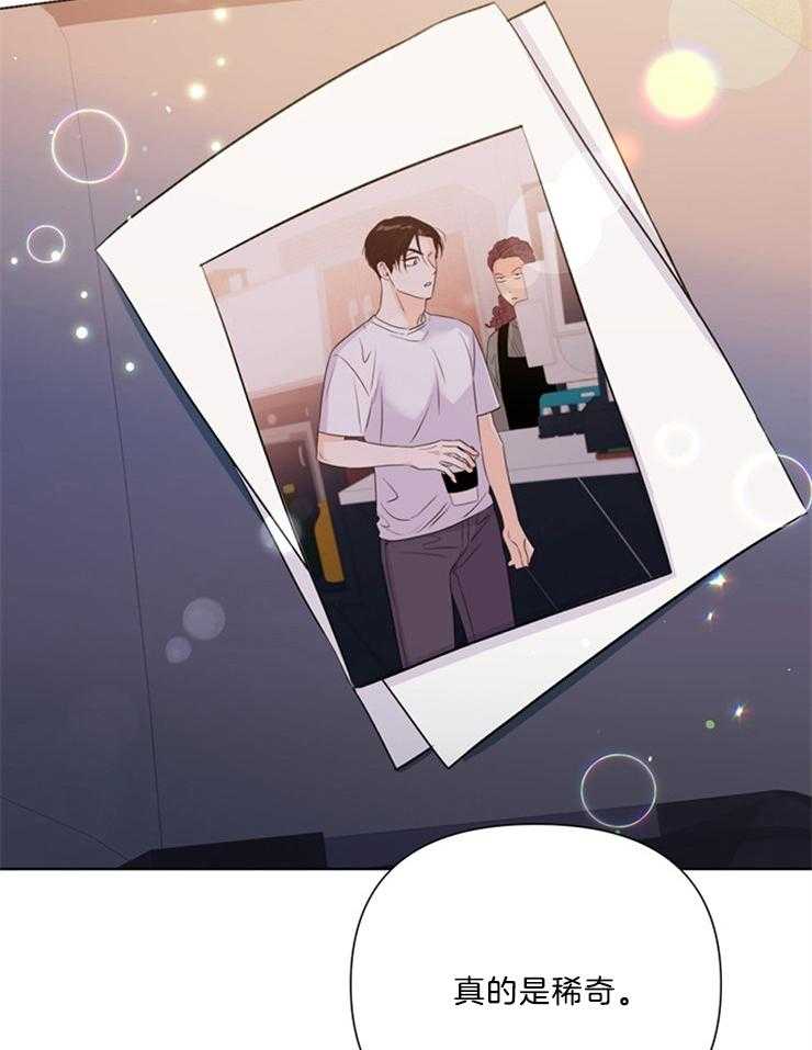 大佬穿成炮灰小明星后 第41话 第13页