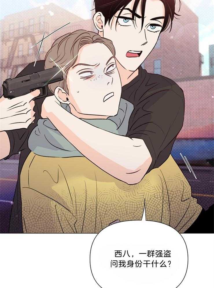 大佬穿成炮灰小明星后第51话图