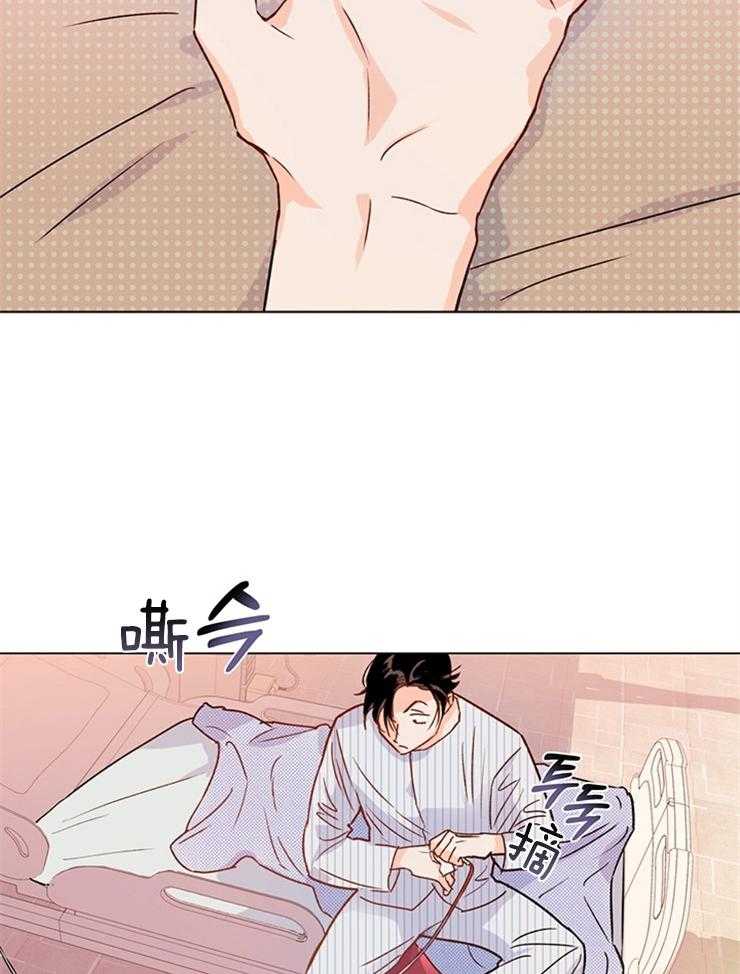 大佬穿成炮灰小明星后 第6话 第26页