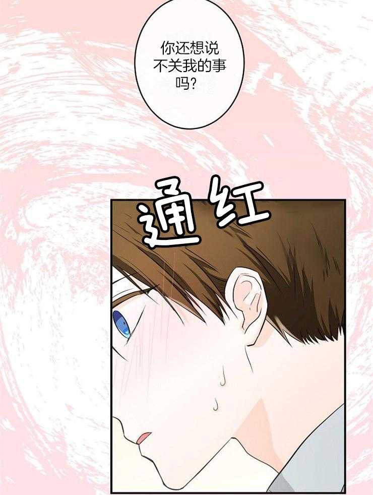 Alpha的秘密第26话图