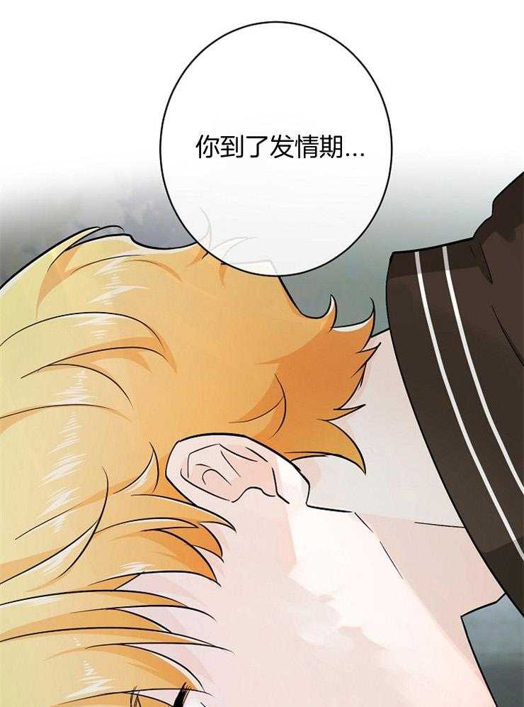 Alpha的秘密 第66话 第16页