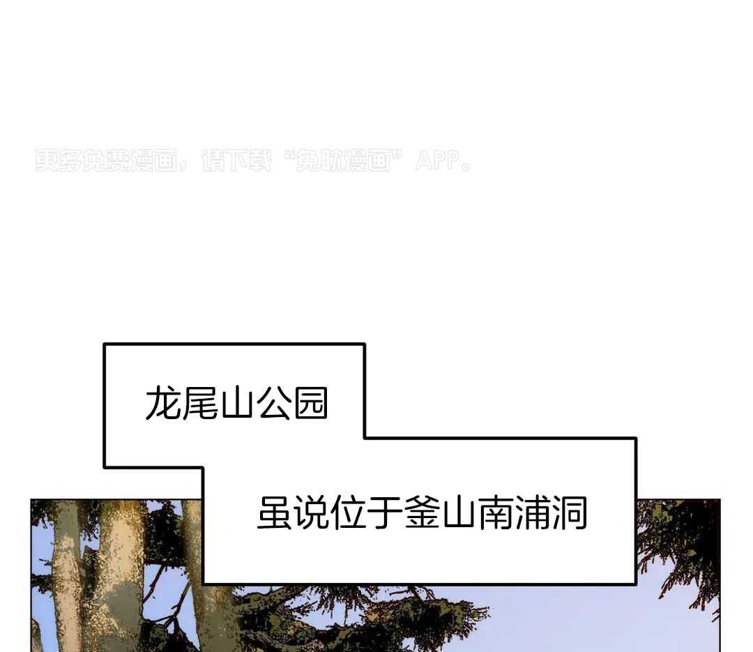 当杀手痴迷追星第116话图