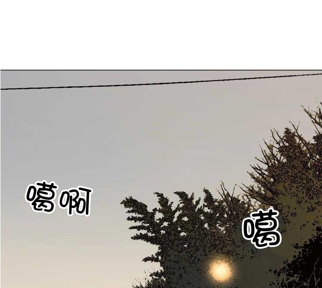 当杀手痴迷追星第117话图