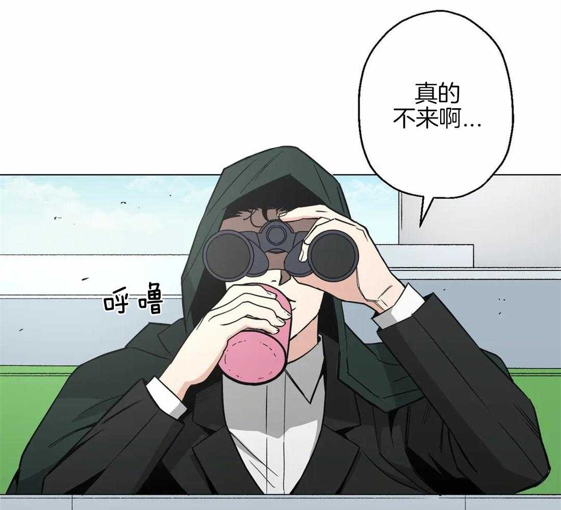 当杀手痴迷追星第35话图