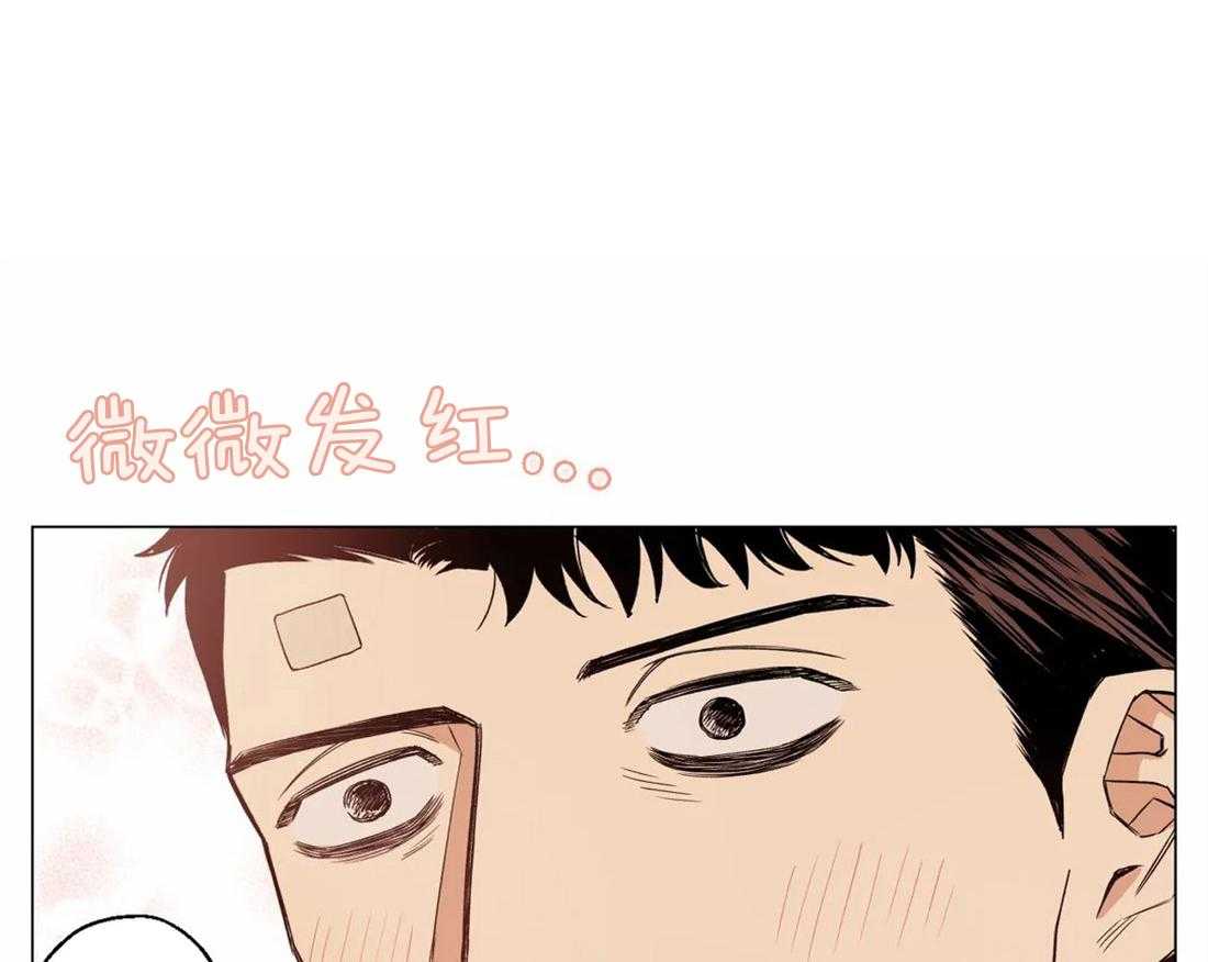 当杀手痴迷追星第5话图